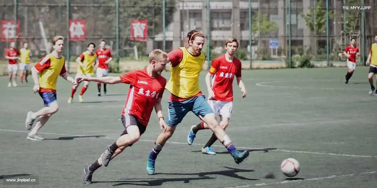 <strong>永久免费看gay片软件入口</strong>连接全球影视资源，为好故事搭建走向世界的银幕桥梁🌍